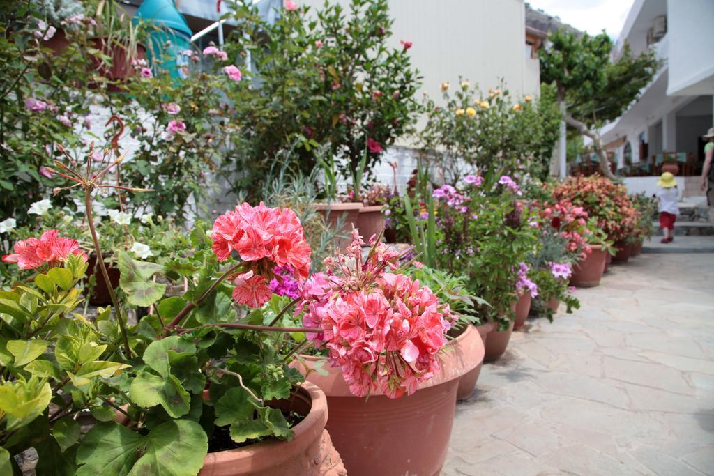 Paralia Guest House อาเยียรูเมลี ภายนอก รูปภาพ