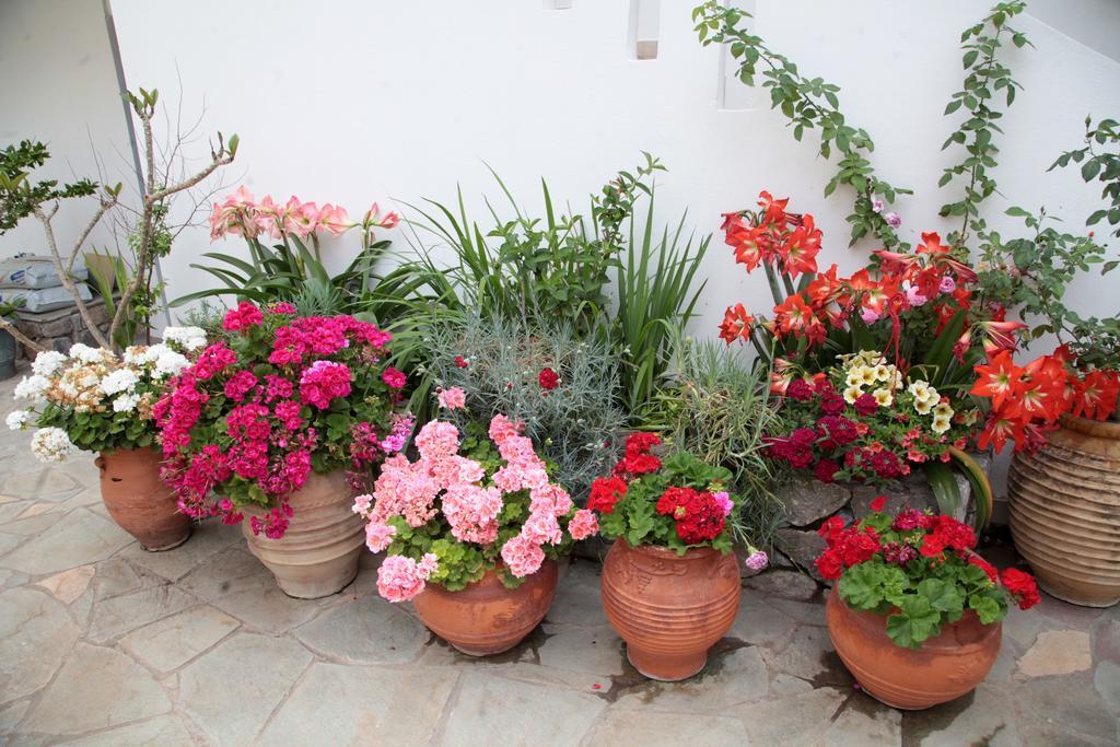Paralia Guest House อาเยียรูเมลี ภายนอก รูปภาพ