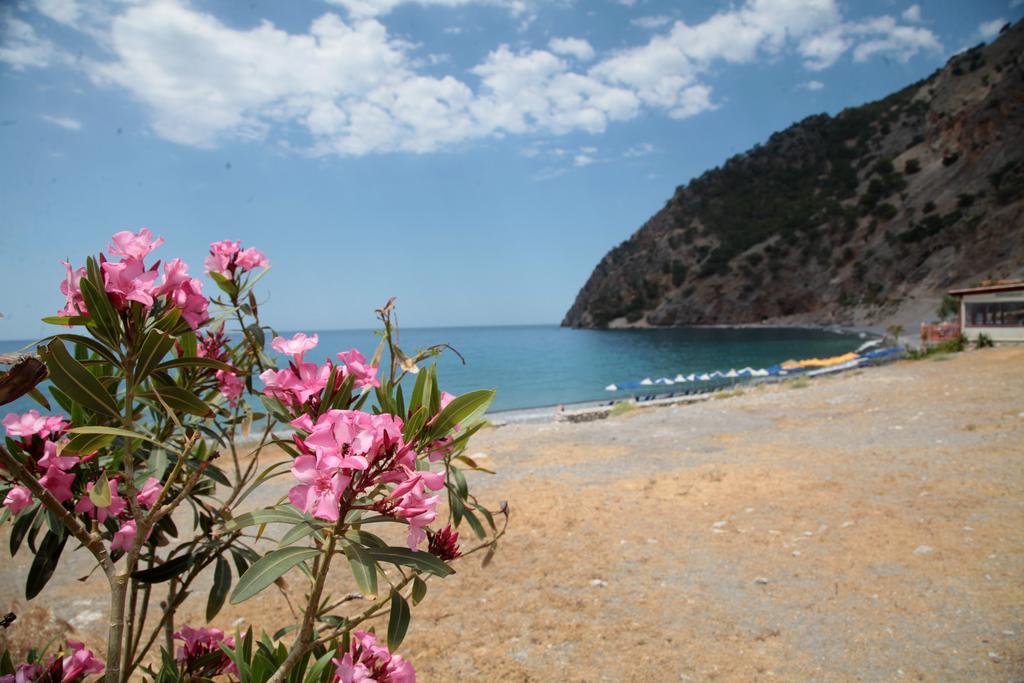 Paralia Guest House อาเยียรูเมลี ภายนอก รูปภาพ