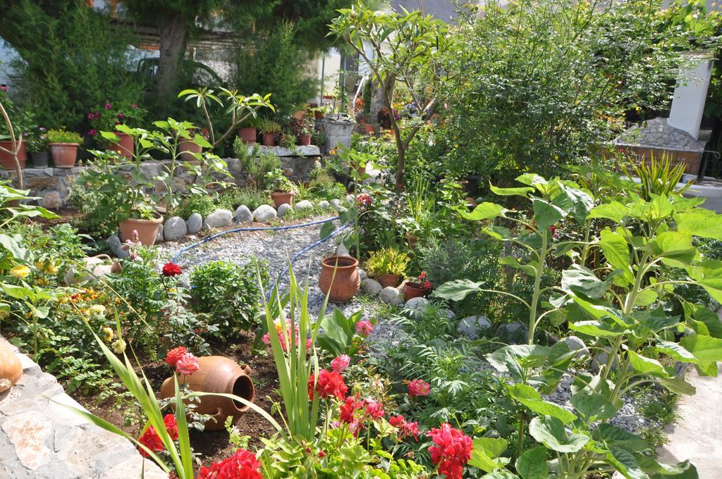 Paralia Guest House อาเยียรูเมลี ภายนอก รูปภาพ